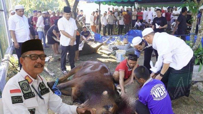 Idul Adha 1444 H, Kanwil Kemenkumham Kalsel Berkurban Puluhan Sapi Hingga Kambing