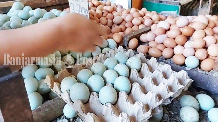 Harga Telur Ras Lokal Kalimantan Selatan Naik karena Biaya Produksi Meningkat