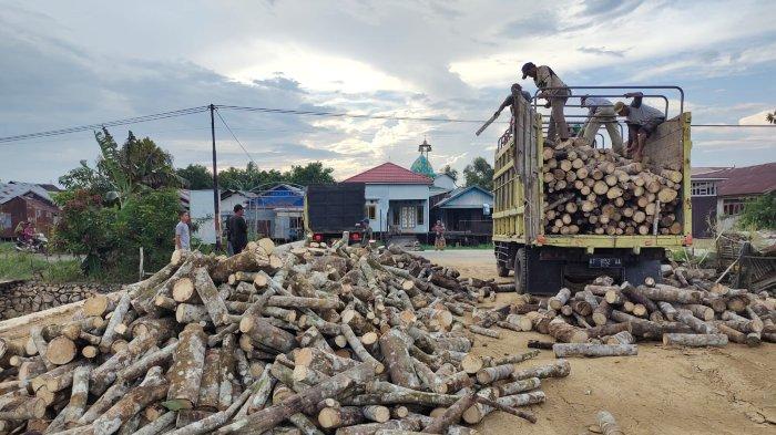 Terima Bantuan Kayu Bakar Tiga Truk untuk Haul Guru Sekumpul, Begini Tanggapan Warga Haur Gading