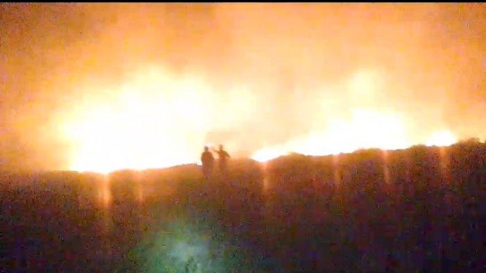 Kebakaran Lahan Rambah Desa Muning Baru HSS, Kebun Semangka Warga Turut Dilahap Jago Merah