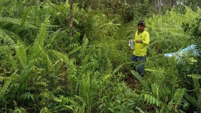 Update Pencarian Mahasiswa ULM Hilang di Kapuas, Tim Tidak Temukan Aditya di Lokasi Bau Bangkai