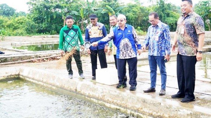 Panen Ikan Air Tawar 129 Ton Per Hari, Wabup Banjar Habib Idrus Harapkan Ada Kampung Papuyu