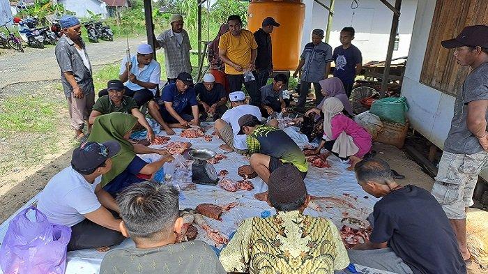 Hati Hewan Kurban Dicek Keswan, Bantuan Pj Bupati Batola di Desa Jejangkit Muara Dinyatakan Sehat