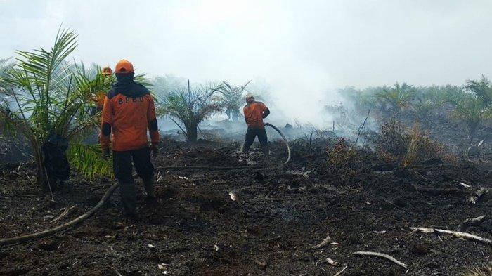 Sampai Nekat Tidur di Dekat Api saat Terjadi Karhutla, Begini Perjuangan Personel BPBD Kapuas