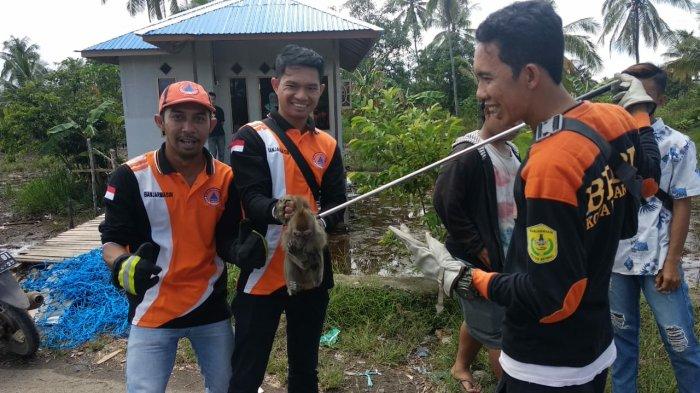 Melihat Sepak Terjang Animal Rescue Banjarmasin, Tidak Hanya Berani, Mereka Juga Peduli Ular