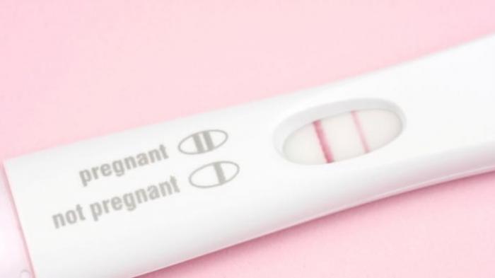 Ternyata Desember Adalah Bulan Terbaik untuk Hamil, Ini Penjelasannya