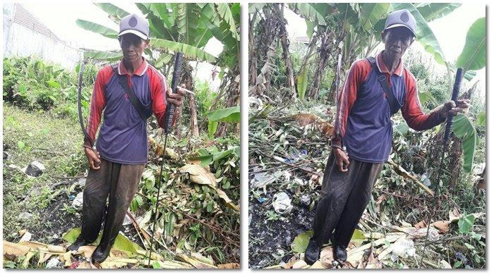 Ular Piton 4 Meter Jatuh di Atas Ranjang, Lelaki Ini Pun Diliit Lalu Pemilik Rumah Bidikan Pistolnya