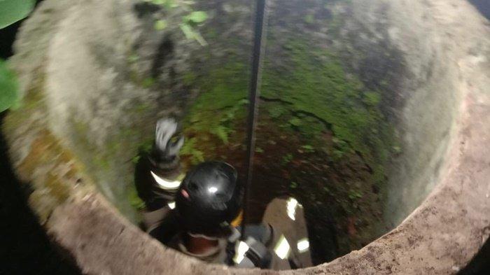 Damkar Kabupaten Banjar Evakuasi Kucing dari Sumur Tua di Martapura