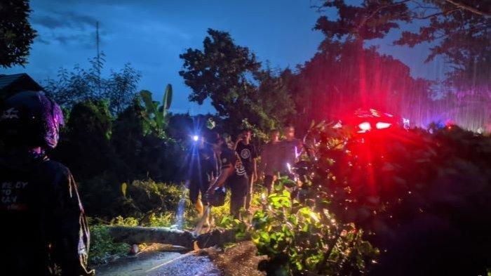 Palangkaraya Diguyur Hujan Lebat Disertai Angin Kencang, Pohon Tumbang Timpa Mobil di Menteng