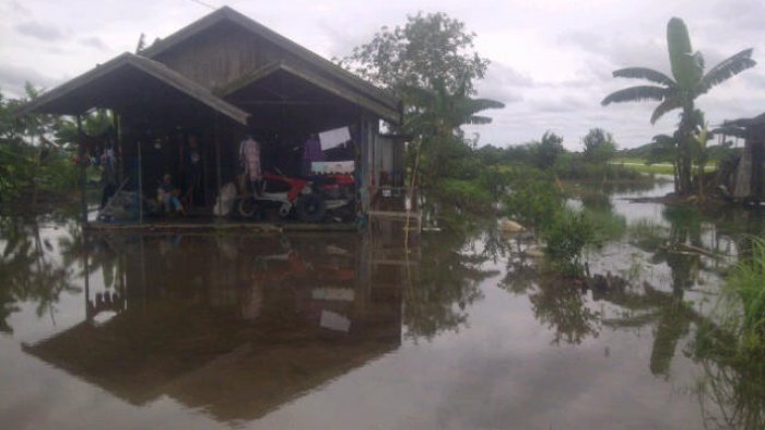 Banjir, Kegiatan Ekstrakurikuler di SDN Semangat Dalam 1 Handil Bakti Tak Bisa Dilaksanakan
