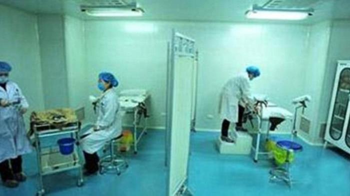 Bank Salah Berikan Donor Sperma Negro ke Ibu Berkulit Putih