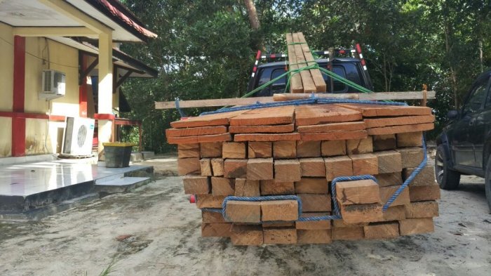 Hentikan Usaha Kayu Ilegal Oknum Mantan Kades di Hampang