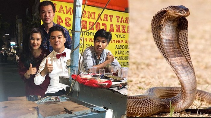 Tinggalkan Ayu Ting Ting, Boy William Pilih Minum Darah Ular Kobra Bersama Kekasih, Ini Bahayanya