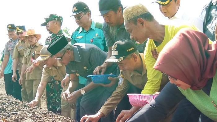 Petani Pejambuan Miliki Usahatani Baru, Bupati Pun Ikut Menanam Bibit, Ini Komoditasnya