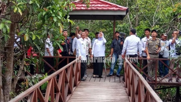 Mau Lihat 67 Ekor Bekantan Lagi Makan, Yuk Pelesir ke Pulau Bakut!