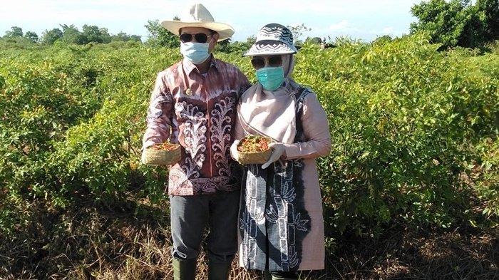 Abon Cabai Hiyung Kabupaten Tapin Kantongi Izin Edar BPOM RI