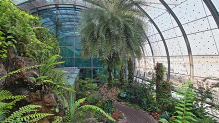 Ini 10 Bandara Terbaik di Dunia, Sayang, Bandara Indonesia Tak Masuk Daftar