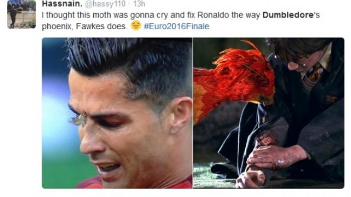 Ribuan Ngengat Serbu Final Piala Eropa, Sebut Kiriman Dumbledore