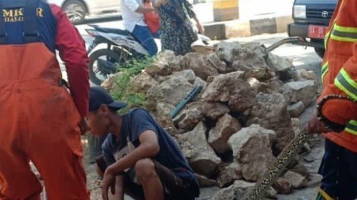 Terobos Plafon Rumah Warga, Petugas Damkar Tabalong Kalsel Hanya Temukan ini Saat Cari Ular