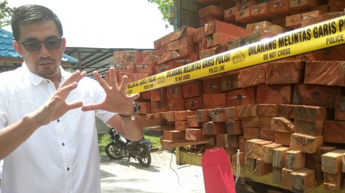 137 Kubik Kayu Illegal dari Taman Nasional Sebangau, BOS: Jadi Tempat Jarahan Pembalak