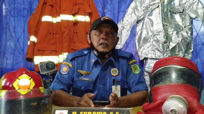 Binatang yang Dievakuasi Damkar Pemkab Tabalong dilepasliarkan atau Diserahkan ke Pencinta Hewan