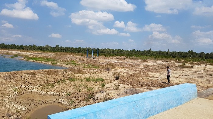 Terancam Kekeringan, Embung Handil Birayang Atas Ternyata Belum Aliri Sawahan Petani