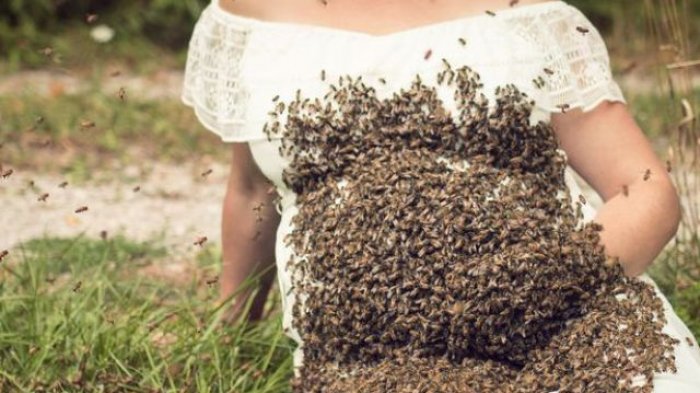 Wanita Ini Gemparkan Dunia karena Dikerumuni 20 Ribu Lebah Ketika Hamil, Kabar Tragis Pun Datang