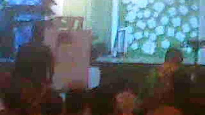 Diawali Lagu Damar Wulan