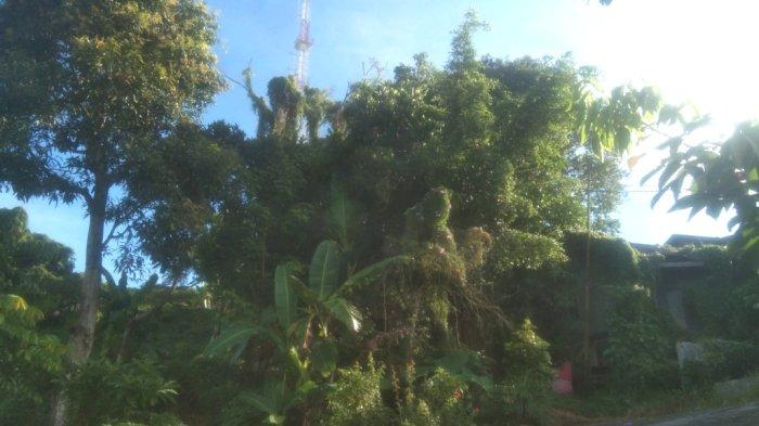 Tak Lagi Jadi Tempat Wisata, Gunung Pemandangan Kotabaru Sebagian Sudah Jadi Permukiman