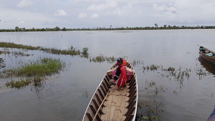 Persemaian Padi Rusak Terdampak Banjir, Bupati Tala Pastikan Bantu Sediakan Benih Unggul