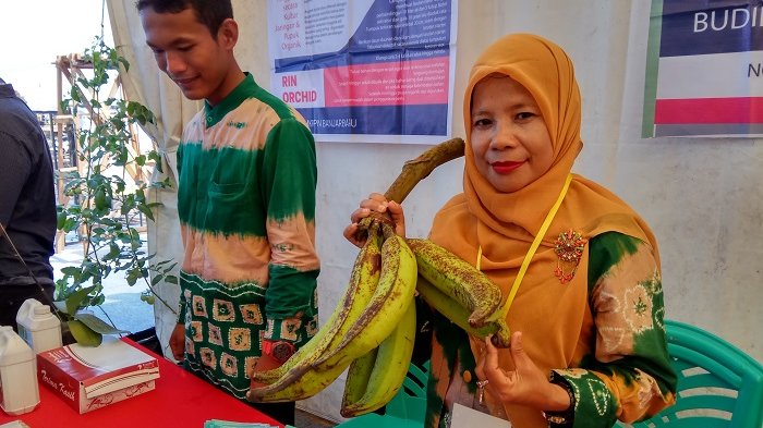 Puluhan Stand Pameran Meriahkan Puncak HPS 2018 di Desa Jejangkit Muara