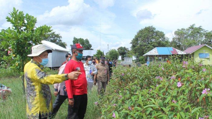 Kawasan Sentra Tanaman Cabai Desa Hiyung Tapin Dibuatkan Jembatan, ini Respons Petani