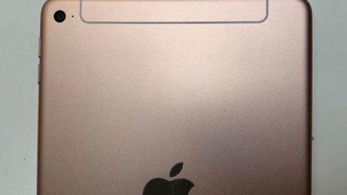 Beredar Foto Punggung Tablet Berwarna Emas, Apple Disebut-sebut Bakal Rilis iPad Mini 5
