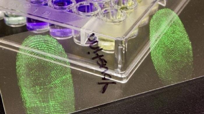 Kini Sidik Jari Bisa Diindentifikasi Jenis Kelamin Pemiliknya