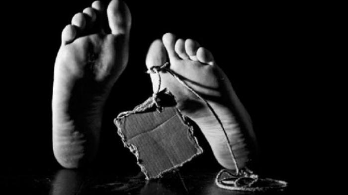 Pengungkapan Tewasnya Bocah dalam Kardus Mengarah ke Mantan Residivis