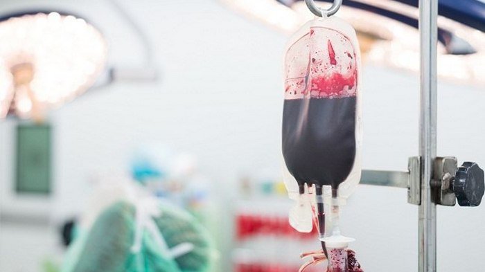 Wow! Darah Remaha Hasil Transfusi Dijual Rp106 Juta, Khasiatnya ternyata Mengejutkan