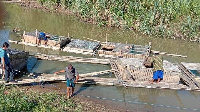 Bendungan Tapin Ditutup, Ikan Pembudidaya di Desa Shabah Banyak yang Mati