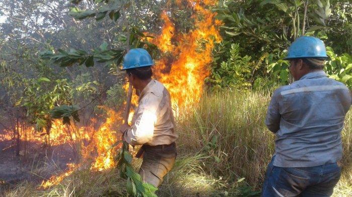 FAKTA Petugas Karhutla Terkurung Api di Batola, dari Berjuang 3 Hari 3 Malam hingga Ada Kesengajaan
