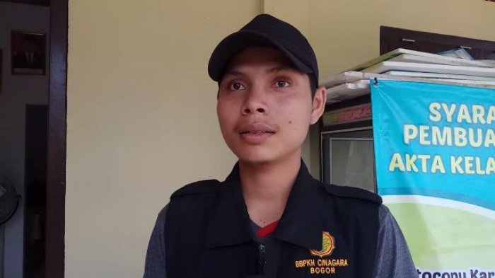 Sapi Inilah Diduga Pembawa Virus yang Sebabkan Matinya Sapi di Desa Hayup
