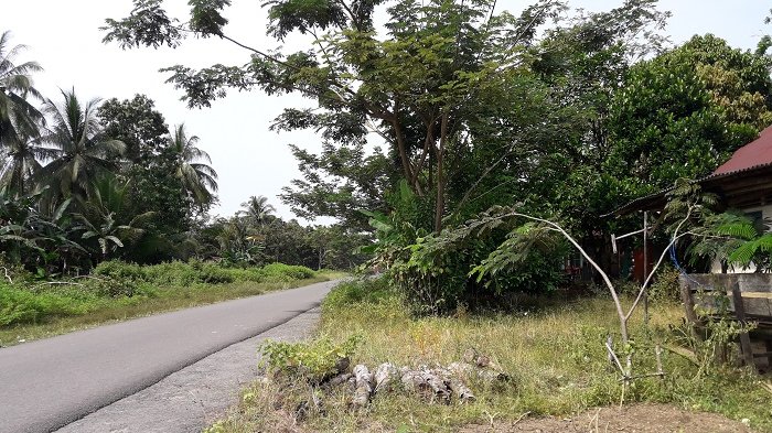 Penderitaan Para Penghuni Kampung Kusta: