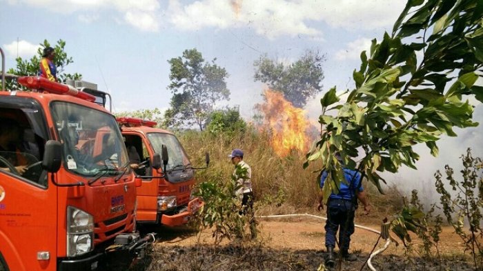 April Sudah Musim Kemarau, Mei Siaga Kebakaran Hutan, Ini Prediksi Cuaca BMKG di Kalsel
