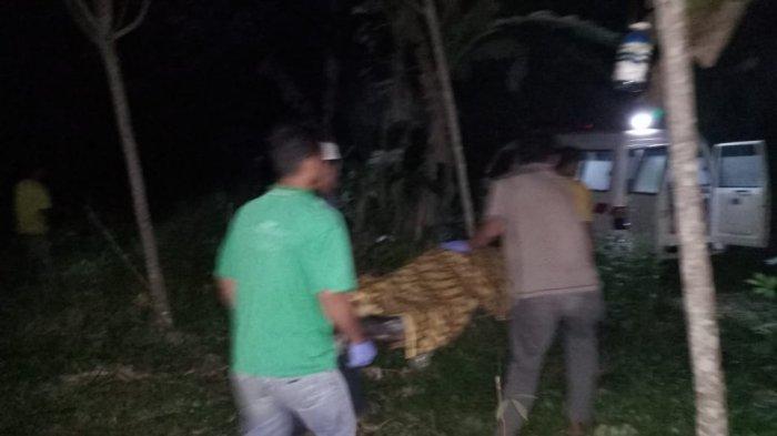 Kronologi Temuan Jasad Bersimbah Darah di Kebun Karet Muara Uya, Warga Temukan Linggis
