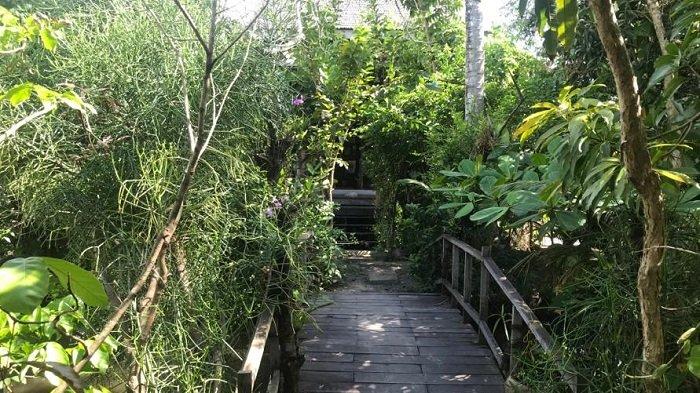 Suguhkan Nuansa Alam, Rumah Alam Sungai Andai Ditumbuhi Pohon-pohon Ini