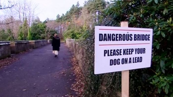 600 Anjing Bunuh Diri di Jembatan Angker Ini, Sampai Sekarang Misterinya Belum Terpecahkan