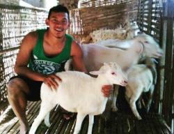 Tak Malu Gembalakan Kambing