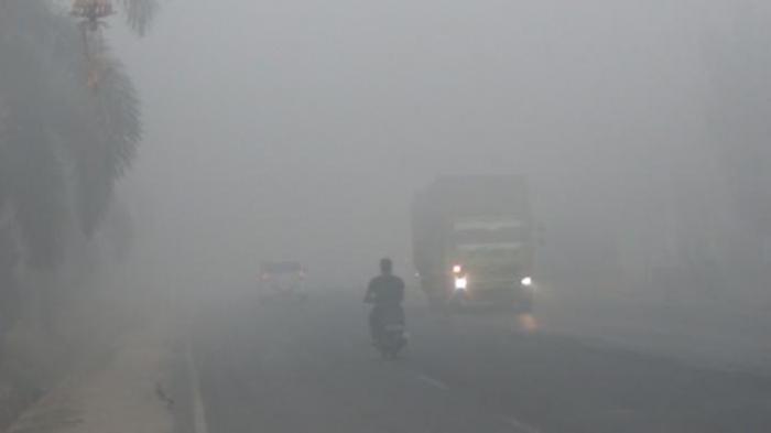 5 Bayi Meninggal dan 15 Lainnya Dirawat akibat Kabut Asap