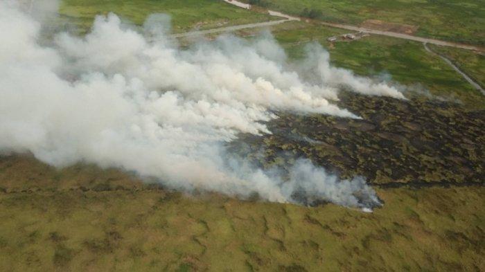 Kemarau Tiba, Saberan Was-Was Tanaman Sengon Miliknya di Miawa Tapin Terbakar