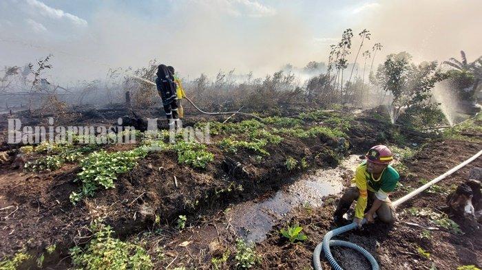 Relawan Damkar Swasta Sulit Menjangkau Titik Karhutla di Area Ring 1 Bandara Syamsudin Noor Kalsel