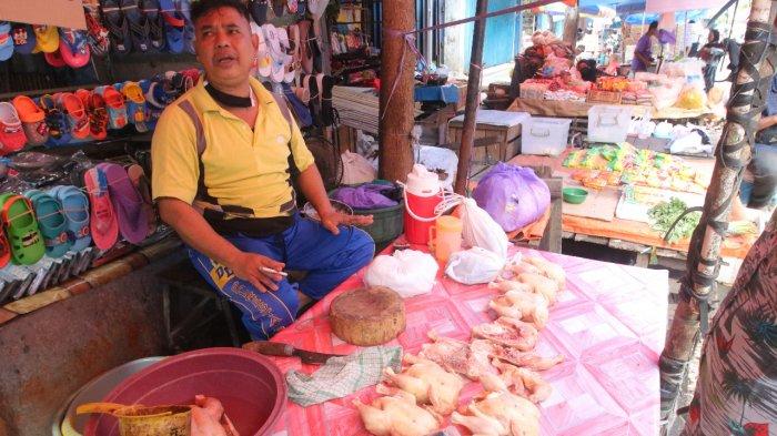 Surplus Ayam Broiler, Harga Ayam Potong di Kabupaten Banjar Justru Melejit