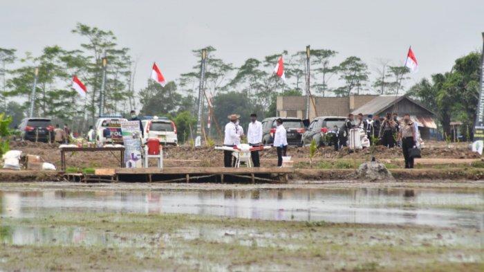 Pengembangan Food Estate Kalteng Seluas 30 Ribu Hektare Pakai Alat Modern Jadi Percontohan.